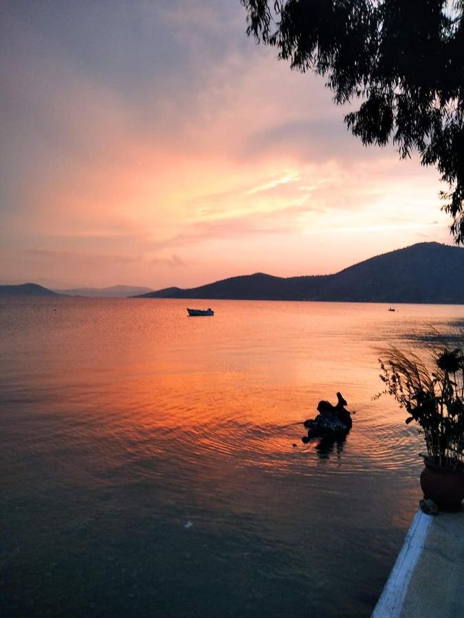 Vitamin Sea Studio Panagia  Ngoại thất bức ảnh